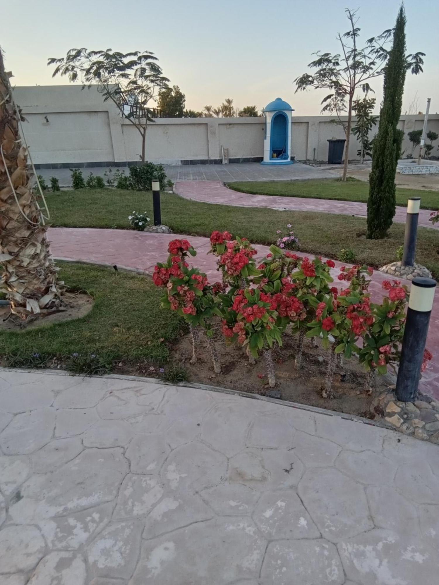 Casablanca Beach For Families And Couples Only Aparthotel ฮูร์กาดา ภายนอก รูปภาพ